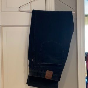 Hiltl thin corduroy green/blue jeans.